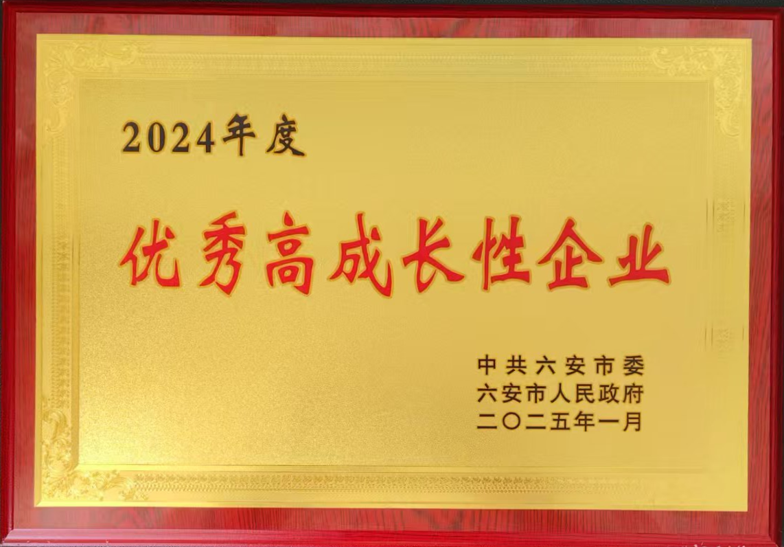 六安铸造优秀高成长性企业.png